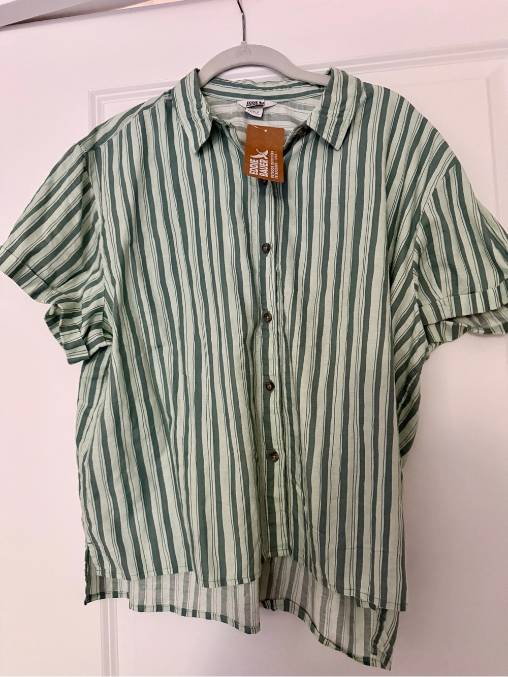 Eddie Bauer Green and Cream Striped Button-Down Blouse